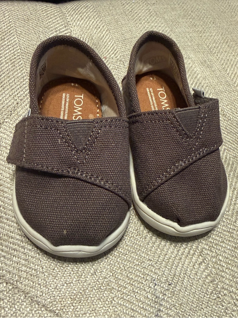 Tom’s toddler shoes